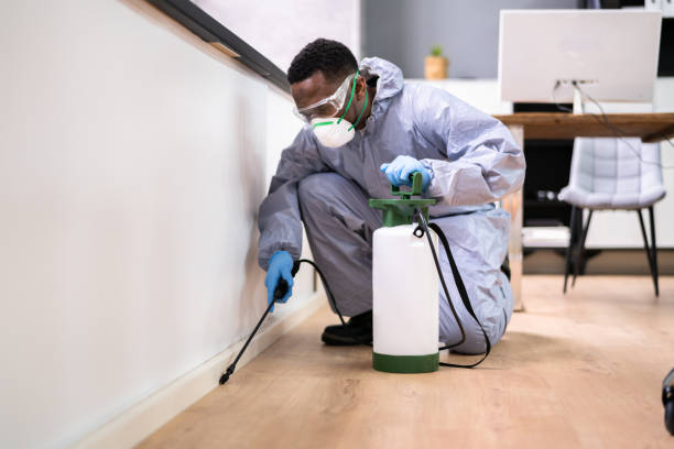 Best Bed Bug Extermination  in Westvle, IL